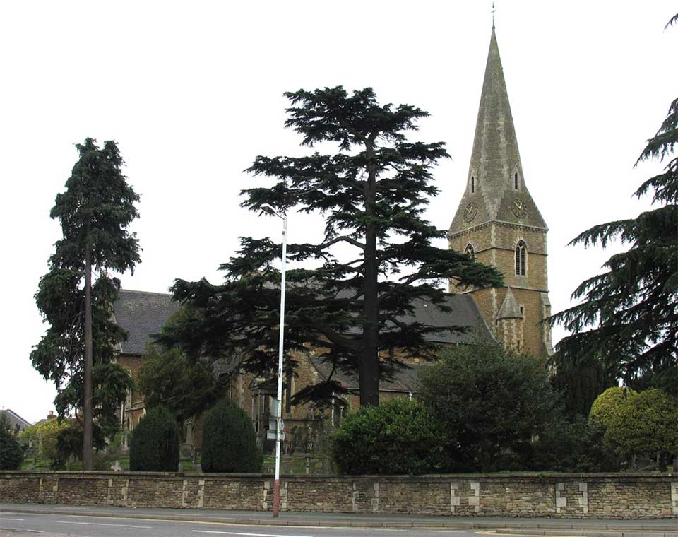 Local coverage around Esher, Claygate and Thames Ditton