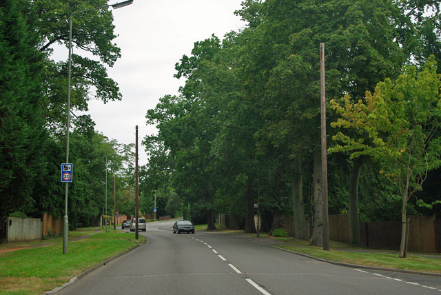 Why clients in Esher choose SPS Investigations